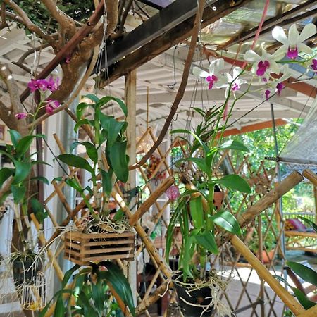 Patty'S Secret Garden Hotel Koh Lanta Ngoại thất bức ảnh